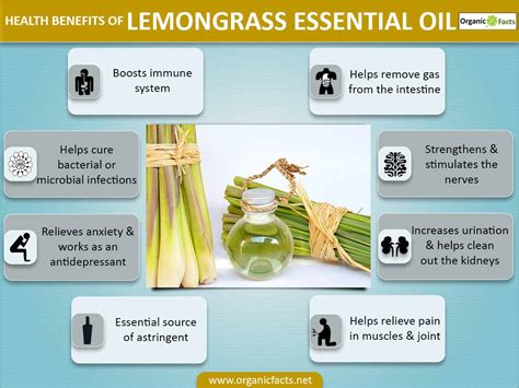Health Benefits of Lemongrass .